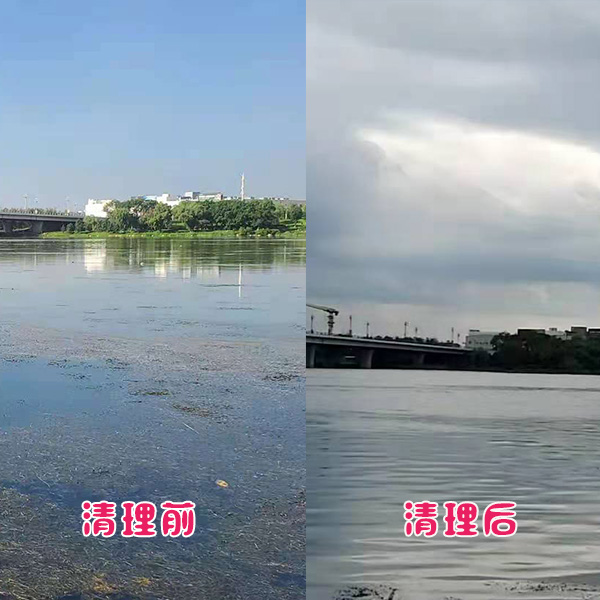 遼陽市客戶太子河水草清理效果展示